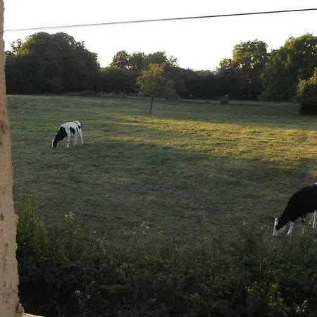 Feriehus Gite Cosy 6 Personnes, Avec Jardin En Normandie, Proche Des Plages Du Debarquement Et Du Mont Saint-Michel *